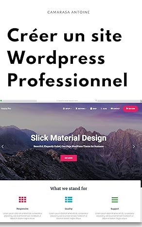 Wordpress : Créer un site professionnel